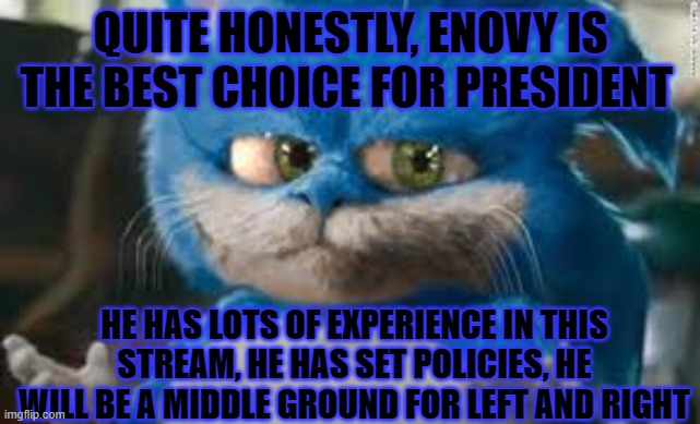 VOTE ENVOY FOR PREZ BB! | QUITE HONESTLY, ENOVY IS THE BEST CHOICE FOR PRESIDENT; HE HAS LOTS OF EXPERIENCE IN THIS STREAM, HE HAS SET POLICIES, HE WILL BE A MIDDLE GROUND FOR LEFT AND RIGHT | image tagged in frat boy president | made w/ Imgflip meme maker