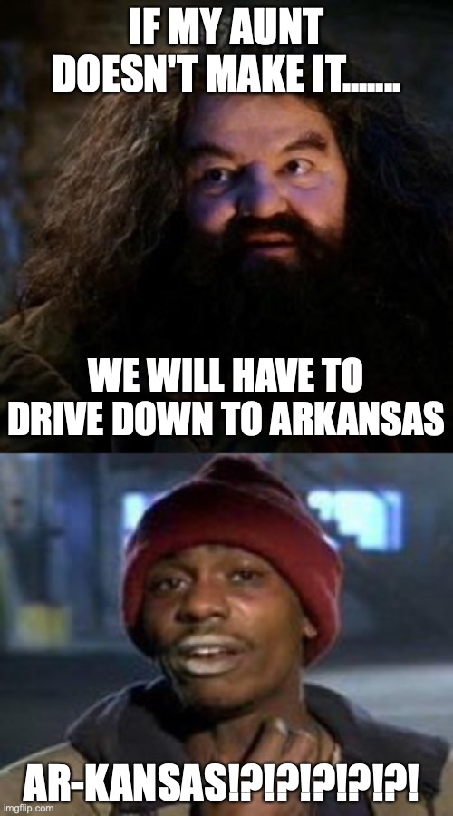 IF MY AUNT DOESN'T MAKE IT....... WE WILL HAVE TO DRIVE DOWN TO ARKANSAS; AR-KANSAS!?!?!?!?!?! | image tagged in you're a wizard harry | made w/ Imgflip meme maker