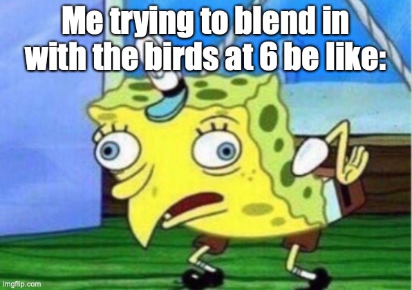 Mocking Spongebob | Me trying to blend in with the birds at 6 be like: | image tagged in memes,mocking spongebob | made w/ Imgflip meme maker