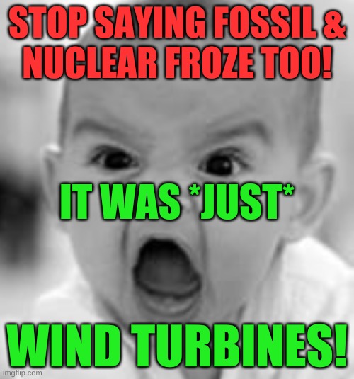 ok karen | STOP SAYING FOSSIL &
NUCLEAR FROZE TOO! IT WAS *JUST*; WIND TURBINES! | image tagged in angry baby cropped,angry conservative,conservative hypocrisy,fox news,texas,blackout | made w/ Imgflip meme maker