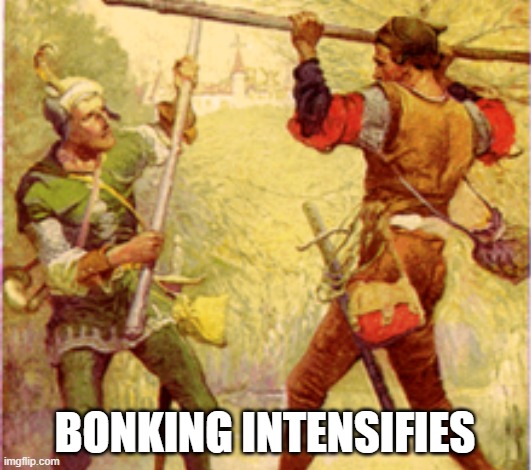 Bonking intensifies | BONKING INTENSIFIES | image tagged in bonking,intensifies | made w/ Imgflip meme maker