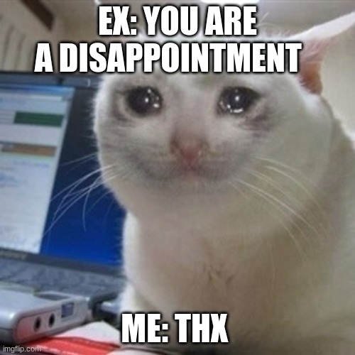 Crying cat | EX: YOU ARE A DISAPPOINTMENT; ME: THX | image tagged in crying cat | made w/ Imgflip meme maker