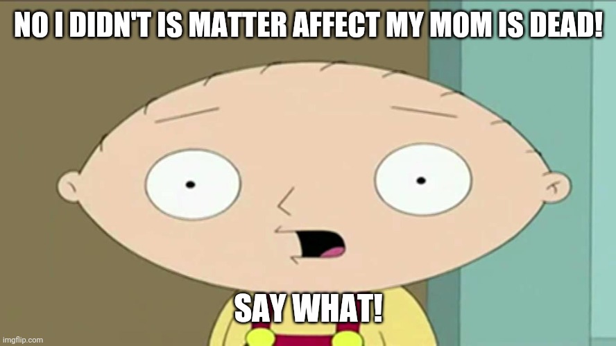 Family Guy Stewie Say What | NO I DIDN'T IS MATTER AFFECT MY MOM IS DEAD! SAY WHAT! | image tagged in family guy stewie say what | made w/ Imgflip meme maker