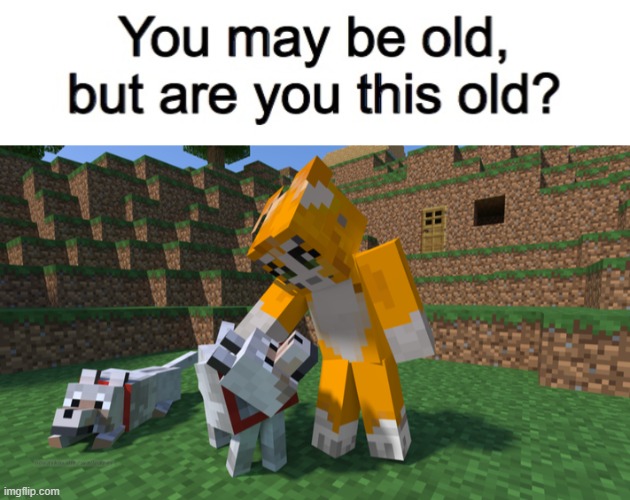 who else remembers stampylongnose from the early 2010s? | image tagged in you may be old but are you this old | made w/ Imgflip meme maker