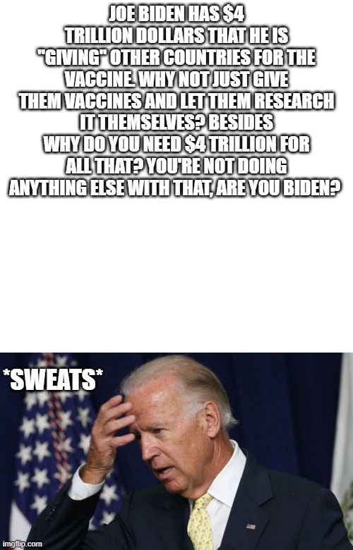 Why do they "need" that much? | JOE BIDEN HAS $4 TRILLION DOLLARS THAT HE IS "GIVING" OTHER COUNTRIES FOR THE VACCINE. WHY NOT JUST GIVE THEM VACCINES AND LET THEM RESEARCH IT THEMSELVES? BESIDES WHY DO YOU NEED $4 TRILLION FOR ALL THAT? YOU'RE NOT DOING ANYTHING ELSE WITH THAT, ARE YOU BIDEN? *SWEATS* | image tagged in memes,blank transparent square,joe biden worries | made w/ Imgflip meme maker