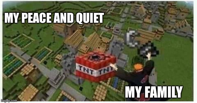 True | MY PEACE AND QUIET; MY FAMILY | image tagged in pain with tnt | made w/ Imgflip meme maker
