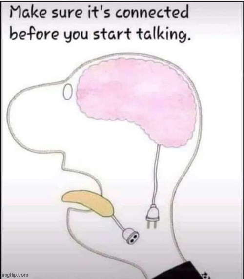 Use this with precaution as this is a very dangerous weapon against smartass, Link in the comments... | image tagged in make sure it's connected before you start talking | made w/ Imgflip meme maker