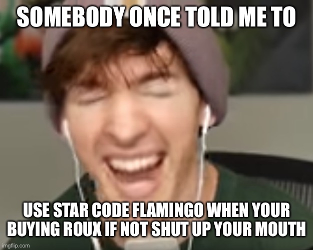 Lol do it tho | SOMEBODY ONCE TOLD ME TO; USE STAR CODE FLAMINGO WHEN YOUR BUYING ROUX IF NOT SHUT UP YOUR MOUTH | image tagged in low quality albert screaming | made w/ Imgflip meme maker