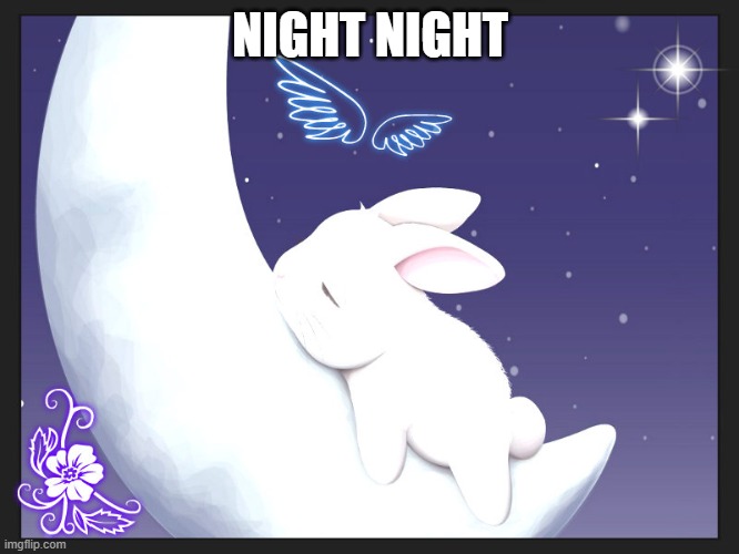 good night bunny | NIGHT NIGHT | image tagged in good night bunny | made w/ Imgflip meme maker