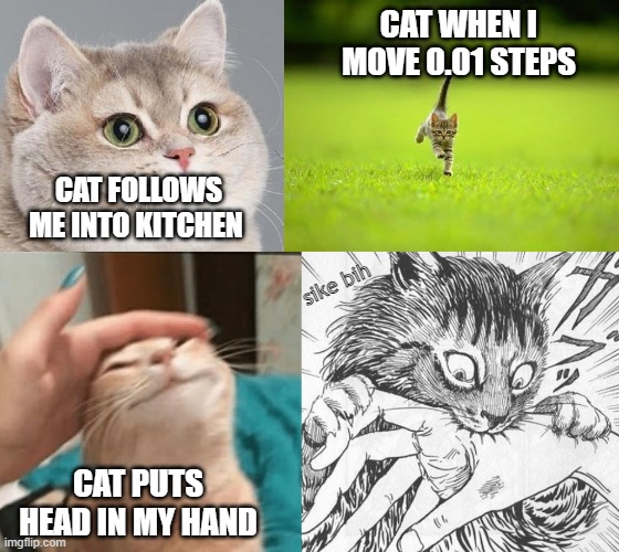 mixed signals | CAT WHEN I MOVE 0.01 STEPS; CAT FOLLOWS ME INTO KITCHEN; sike bih; CAT PUTS HEAD IN MY HAND | image tagged in breathing intensifies,running cat | made w/ Imgflip meme maker