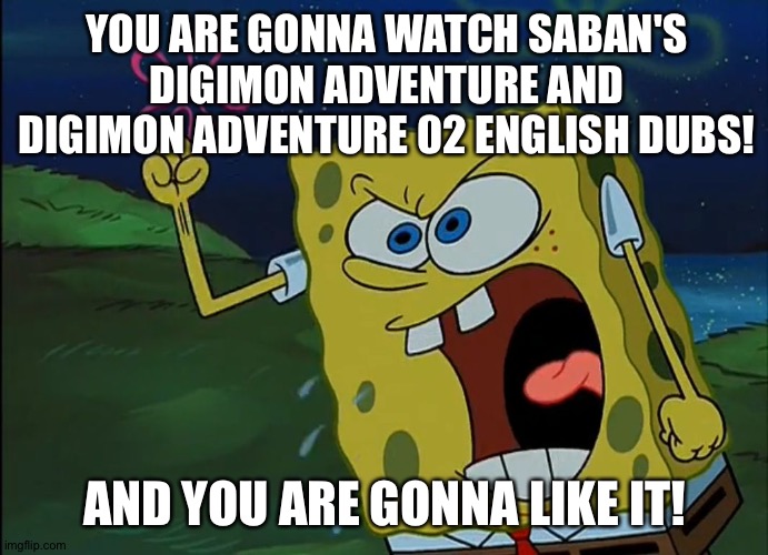 YOU ARE GONNA LIKE IT! | YOU ARE GONNA WATCH SABAN'S DIGIMON ADVENTURE AND DIGIMON ADVENTURE 02 ENGLISH DUBS! AND YOU ARE GONNA LIKE IT! | image tagged in you are gonna like it | made w/ Imgflip meme maker