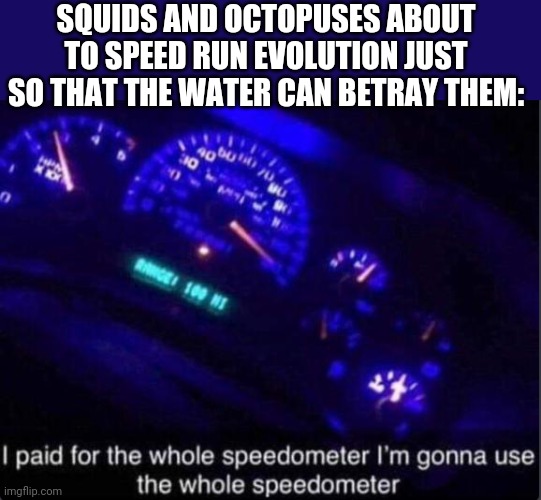 I never realized sea creatures could be afraid of water | SQUIDS AND OCTOPUSES ABOUT TO SPEED RUN EVOLUTION JUST SO THAT THE WATER CAN BETRAY THEM: | image tagged in speedometer,splatoon | made w/ Imgflip meme maker