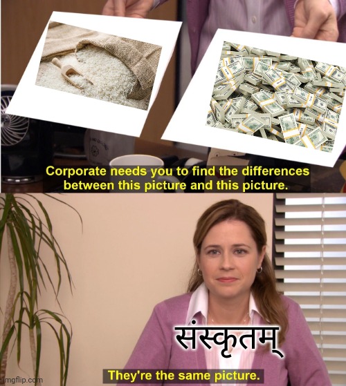 They're The Same Picture Meme | संस्कृतम् | image tagged in memes,they're the same picture,sanskrit | made w/ Imgflip meme maker