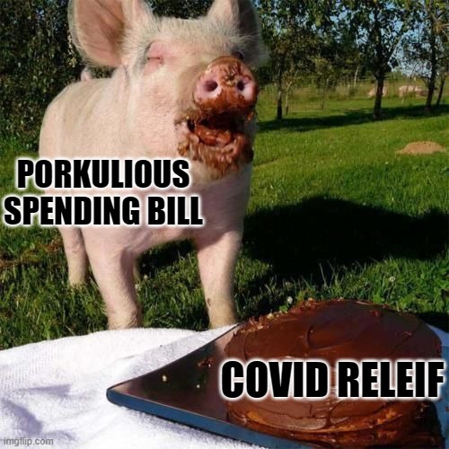 can we get less pork and more relief? | PORKULIOUS SPENDING BILL; COVID RELEIF | image tagged in happy birthday pig | made w/ Imgflip meme maker