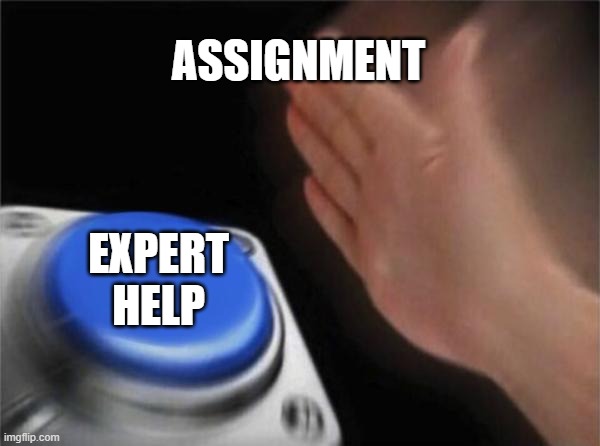 Blank Nut Button | ASSIGNMENT; EXPERT HELP | image tagged in memes,blank nut button | made w/ Imgflip meme maker