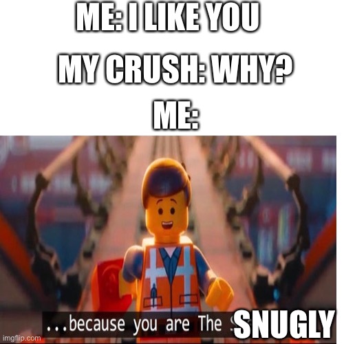 She is so snugly | ME: I LIKE YOU; MY CRUSH: WHY? ME:; SNUGLY | image tagged in snuggle,crush,the lego movie,you are the special | made w/ Imgflip meme maker