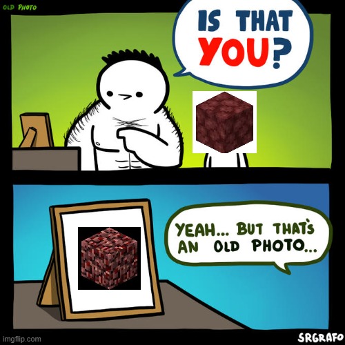Is that you? Yeah, but that's an old photo | image tagged in is that you yeah but that's an old photo,nether,minecraft,memes | made w/ Imgflip meme maker