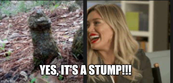 The Oddest Pictures... | YES, IT'S A STUMP!!! | image tagged in hillary duff,nature,funny,happy little trees,duff,stump | made w/ Imgflip meme maker