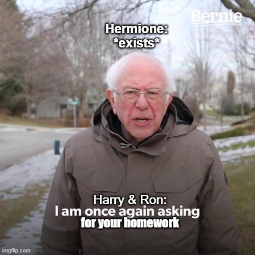Bernie I Am Once Again Asking For Your Support Meme | Hermione: *exists*; for your homework; Harry & Ron: | image tagged in memes,bernie i am once again asking for your support | made w/ Imgflip meme maker