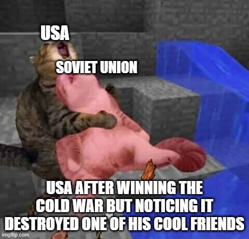 First meme | USA; SOVIET UNION; USA AFTER WINNING THE COLD WAR BUT NOTICING IT DESTROYED ONE OF HIS COOL FRIENDS | image tagged in history | made w/ Imgflip meme maker