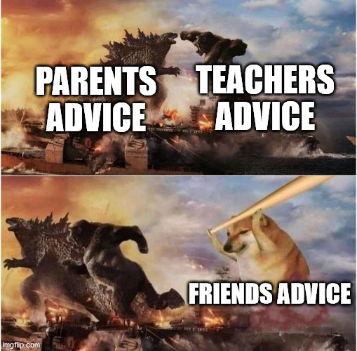 Meme |  TEACHERS ADVICE; PARENTS ADVICE; FRIENDS ADVICE | image tagged in kong godzilla doge | made w/ Imgflip meme maker