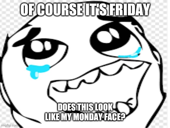 OF COURSE IT'S FRIDAY; DOES THIS LOOK LIKE MY MONDAY FACE? | image tagged in funny | made w/ Imgflip meme maker