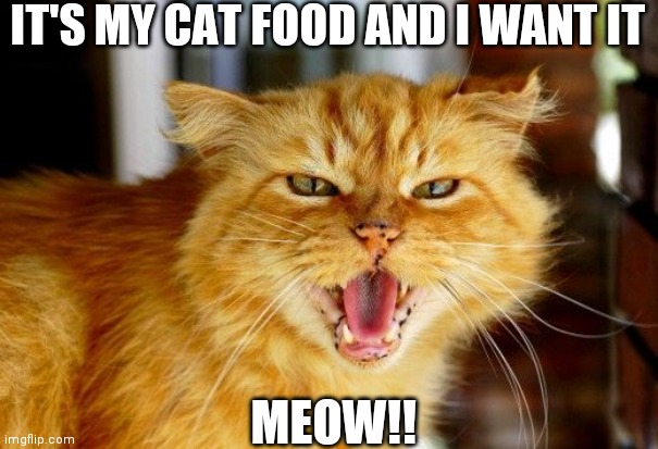 meow! | IT'S MY CAT FOOD AND I WANT IT; MEOW!! | image tagged in grumpy cat | made w/ Imgflip meme maker