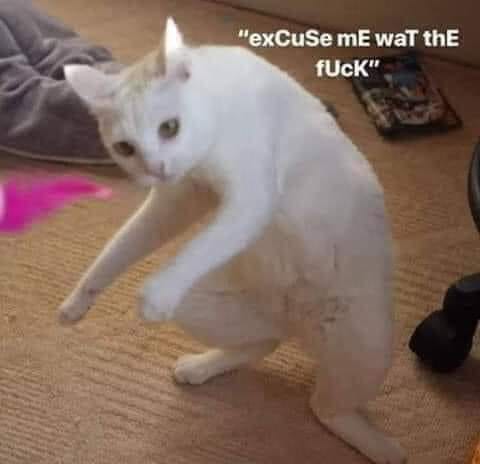 High Quality "excuse me wat the f*ck Blank Meme Template