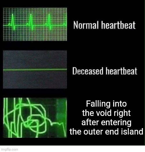 normal heartbeat deceased heartbeat | Falling into the void right after entering the outer end island | image tagged in normal heartbeat deceased heartbeat | made w/ Imgflip meme maker