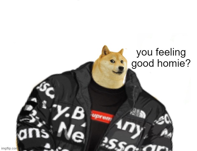 Doggo with drip | you feeling good homie? | image tagged in doge,drip | made w/ Imgflip meme maker