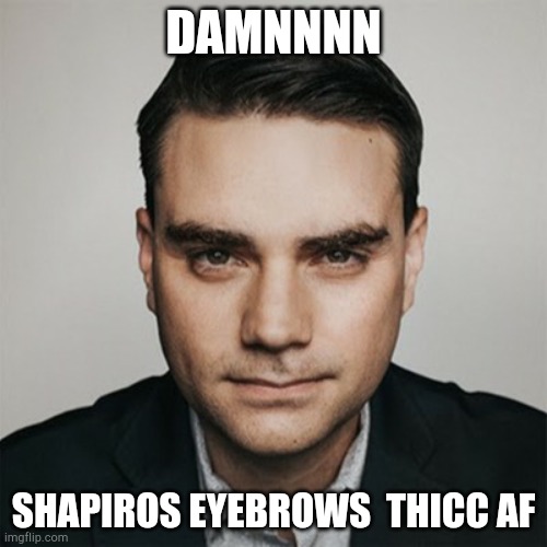 Can we all agree | DAMNNNN; SHAPIROS EYEBROWS  THICC AF | image tagged in agreed,ben shapiro,eyebrows | made w/ Imgflip meme maker