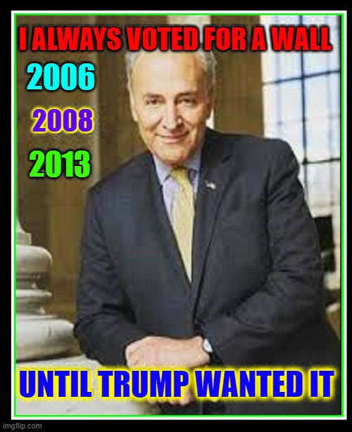 You Voted for This, America. Be Proud! | I ALWAYS VOTED FOR A WALL; 2006; 2008; 2013; UNTIL TRUMP WANTED IT | image tagged in vince vance,chuck schumer,border wall,open borders,memes,politicians suck | made w/ Imgflip meme maker