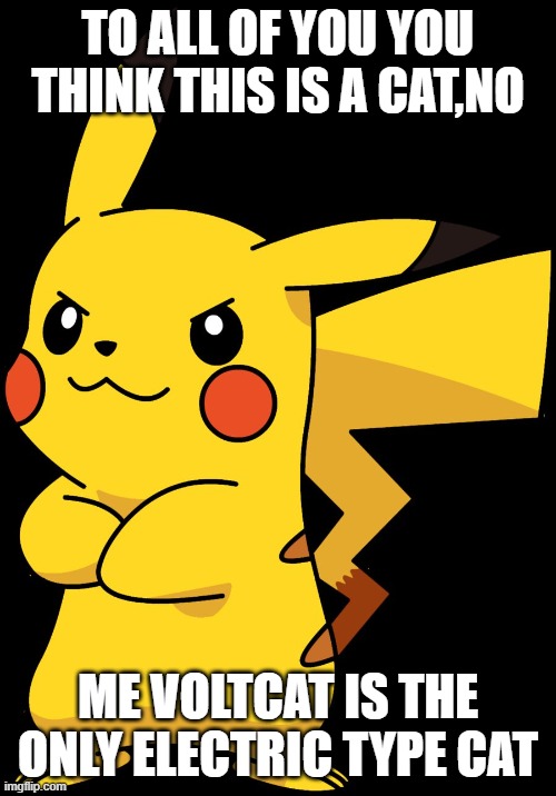 picachu | TO ALL OF YOU YOU THINK THIS IS A CAT,NO; ME VOLTCAT IS THE ONLY ELECTRIC TYPE CAT | image tagged in picachu,cats | made w/ Imgflip meme maker