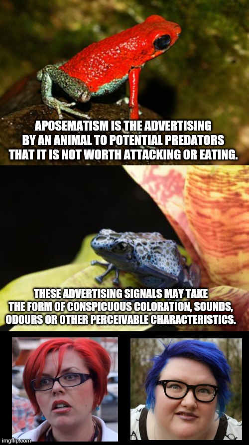 Bright Colors = Toxicity |  APOSEMATISM IS THE ADVERTISING BY AN ANIMAL TO POTENTIAL PREDATORS THAT IT IS NOT WORTH ATTACKING OR EATING. THESE ADVERTISING SIGNALS MAY TAKE THE FORM OF CONSPICUOUS COLORATION, SOUNDS, ODOURS OR OTHER PERCEIVABLE CHARACTERISTICS. | image tagged in blank black,frogs,sjw triggered | made w/ Imgflip meme maker
