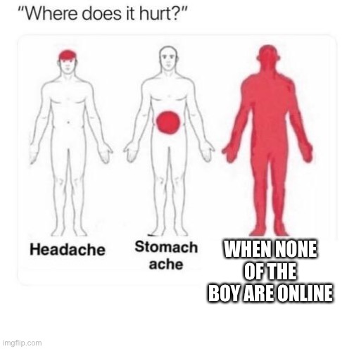 Where does it hurt | WHEN NONE OF THE BOY ARE ONLINE | image tagged in where does it hurt | made w/ Imgflip meme maker