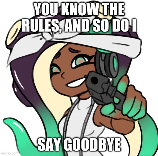 you know the rules and so do I say goodbye splatoon 2 edition | YOU KNOW THE RULES, AND SO DO I; SAY GOODBYE | image tagged in marina with a gun,meme | made w/ Imgflip meme maker