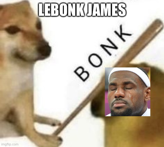 Bonk | LEBONK JAMES | image tagged in bonk | made w/ Imgflip meme maker