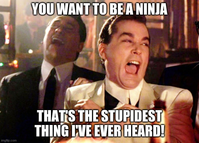 Good Fellas Hilarious | YOU WANT TO BE A NINJA; THAT'S THE STUPIDEST THING I'VE EVER HEARD! | image tagged in memes,good fellas hilarious | made w/ Imgflip meme maker