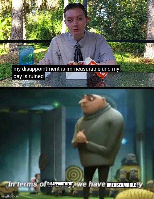 IMERSEAMABLE; DISAPPOINTMENT | image tagged in my disappointment is immeasurable,in terms of money,my day is ruined,gru,despicable me | made w/ Imgflip meme maker