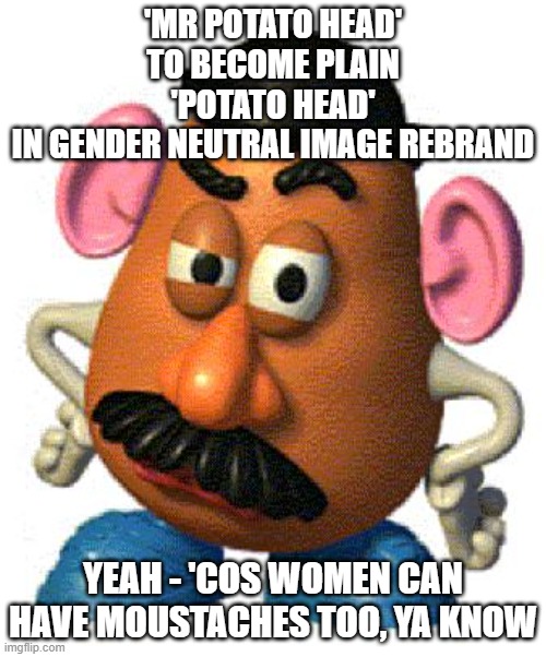 mr potato head | 'MR POTATO HEAD'
TO BECOME PLAIN
'POTATO HEAD'
IN GENDER NEUTRAL IMAGE REBRAND; YEAH - 'COS WOMEN CAN HAVE MOUSTACHES TOO, YA KNOW | image tagged in mr potato head | made w/ Imgflip meme maker
