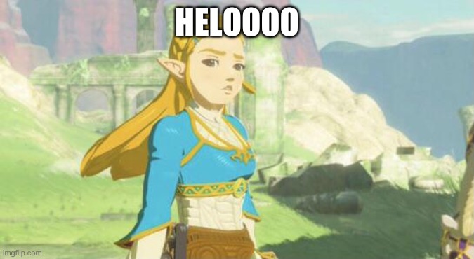 Judging zelda | HELOOOO | image tagged in judging zelda | made w/ Imgflip meme maker