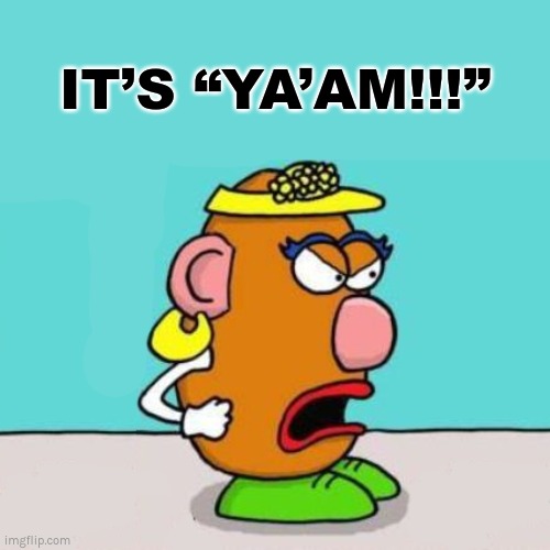IT’S “YA’AM!!!” | IT’S “YA’AM!!!” | image tagged in transgender,mr potato head,woke | made w/ Imgflip meme maker