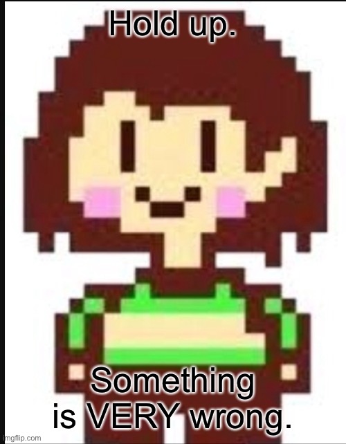 Chara undertale  | Hold up. Something is VERY wrong. | image tagged in chara undertale | made w/ Imgflip meme maker