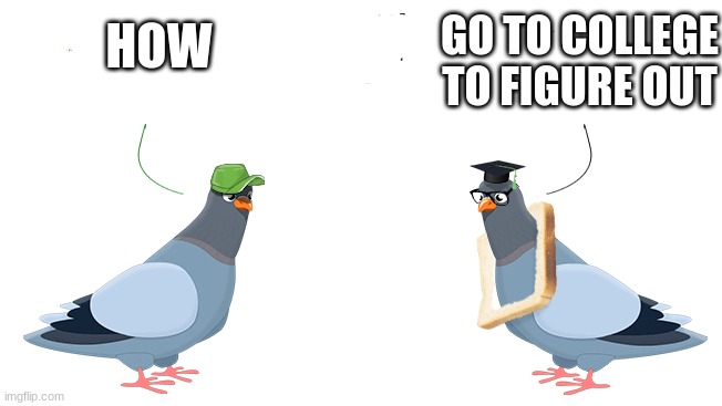 Dumb pigeon, Smort pigeon | GO TO COLLEGE TO FIGURE OUT; HOW | image tagged in oh wow are you actually reading these tags | made w/ Imgflip meme maker