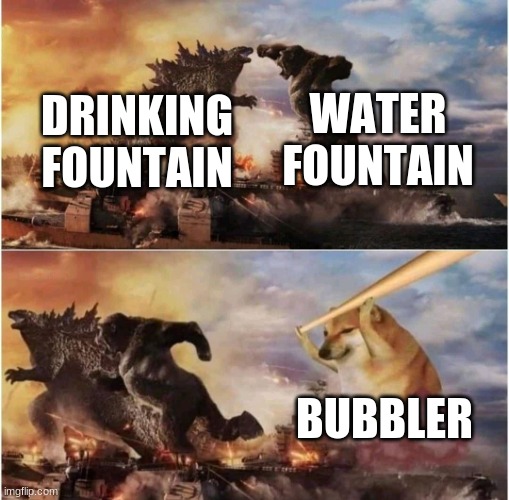 too many ways of saying it | WATER FOUNTAIN; DRINKING FOUNTAIN; BUBBLER | image tagged in kong godzilla doge | made w/ Imgflip meme maker