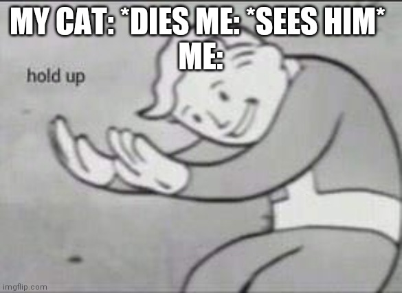 Fallout Hold Up | MY CAT: *DIES ME: *SEES HIM* 
ME: | image tagged in fallout hold up | made w/ Imgflip meme maker