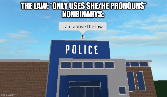I am INVINCIBLE | THE LAW: *ONLY USES SHE/HE PRONOUNS*
NONBINARYS: | image tagged in i am above the law,hahaha,nonbinary | made w/ Imgflip meme maker