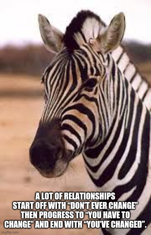 Condescending Zebra | A LOT OF RELATIONSHIPS START OFF WITH “DON’T EVER CHANGE” THEN PROGRESS TO “YOU HAVE TO CHANGE” AND END WITH “YOU’VE CHANGED”. | image tagged in condescending zebra | made w/ Imgflip meme maker