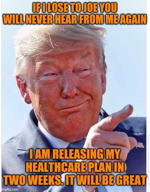 Trump pointing | IF I LOSE TO JOE YOU WILL NEVER HEAR FROM ME AGAIN; I AM RELEASING MY HEALTHCARE PLAN IN TWO WEEKS. IT WILL BE GREAT | image tagged in trump pointing | made w/ Imgflip meme maker