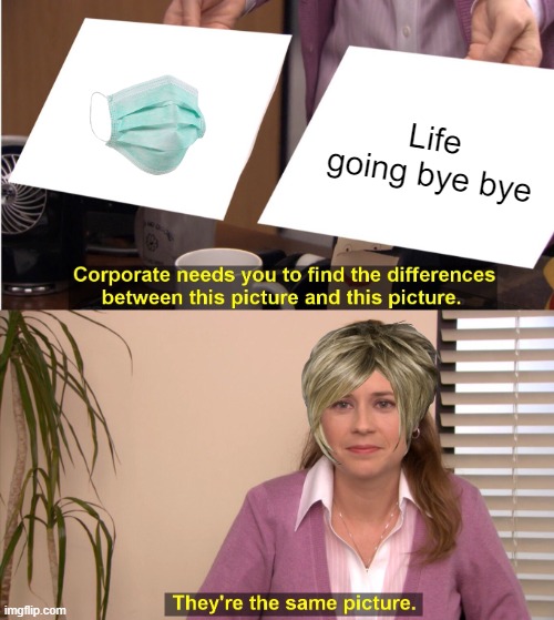 They're The Same Picture |  Life going bye bye | image tagged in memes,they're the same picture | made w/ Imgflip meme maker